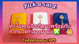 🍀Pick a card 🍀​ทำไมคุณจึงเกิดมาพร้อมกับกากบาทกลางฝ่ามือ❎❌🤲/Timelesss♾️