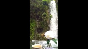 ارح قلبك وعقلك قران كريم راحه نفسيه 🌹