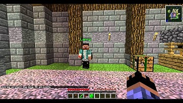 Custom NPC mod review