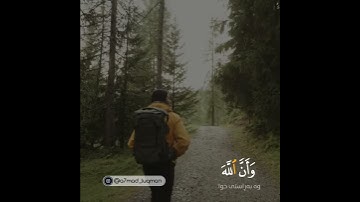 تلاوة مبكية ما تيسر من سورة المائدة القارئ محمد اللحيدان راحة نفسية حالات واتس اب