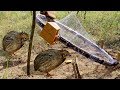 Awesome Quick Bird Trap Using Circle Net - How To Make Circle Net Bird Trap Work 100%