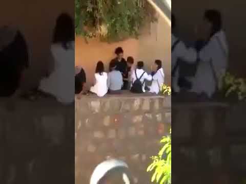 الفيديو الذي يبحث عنه الجميع الليسي كايشمو سيليسيون