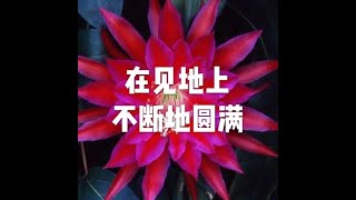 201907 在见地上不断地圆满51509