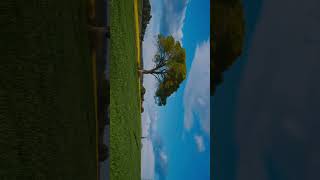 Spring colors 🌼 shot w @NikonEurope  #NikonZR