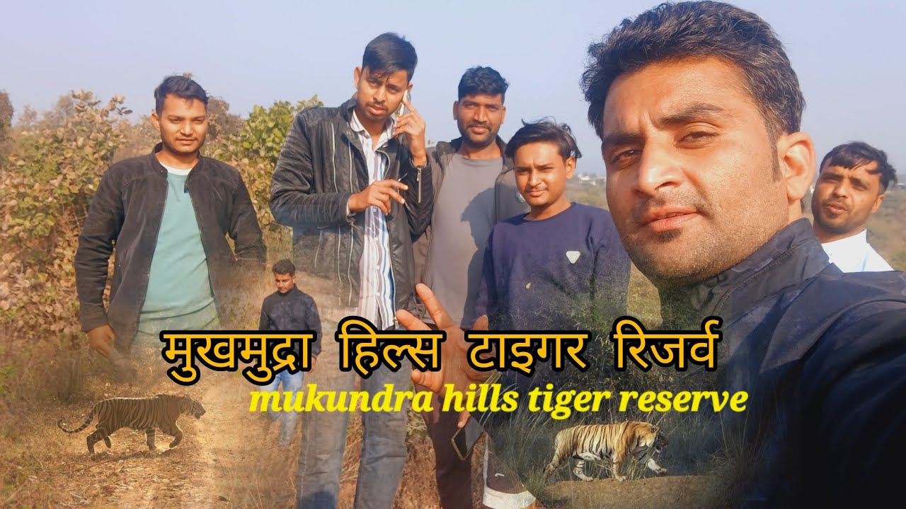 Mukundra Hills tiger reserve  kota  channel ko subscribe jarur kare thank 😊 #viralreels #vlog  