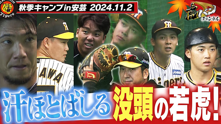 【11月2日秋季キャンプ】今日もあいにくの雨…それでも選手たちは練習に没頭だ！！若手主力選手は実りの秋に！阪神タイガース密着！応援番組「虎バン」ABCテレビ公式チャンネル