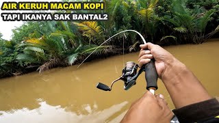 MANCING IKAN BESAR