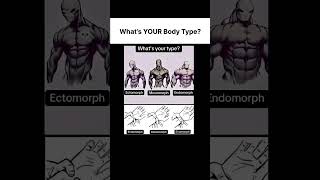 Ectomorph, Mesomorph, Endomorph Explained | Which Body Type Are You?