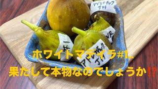 224 White Madeira #1Is it the real thing? #Fig #Fig #Fig