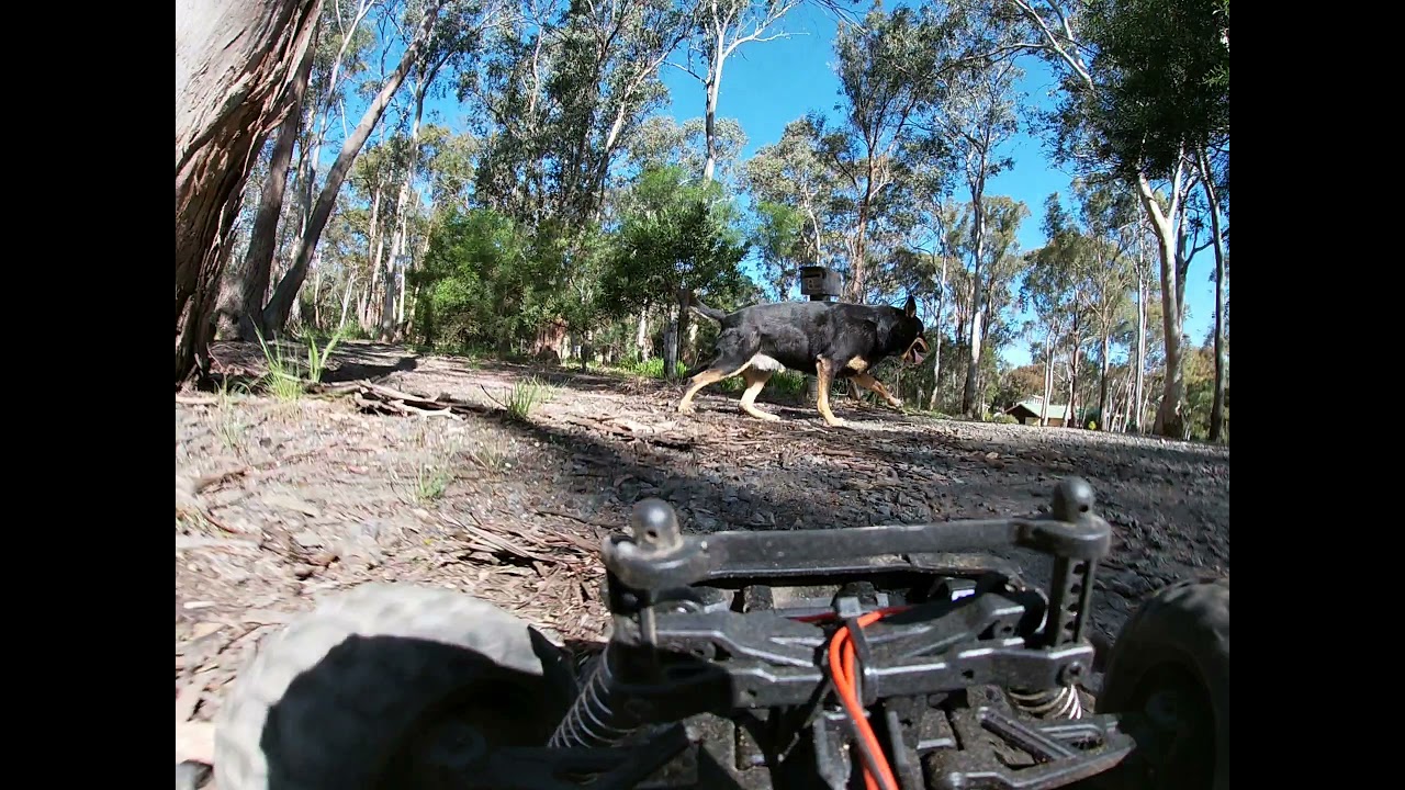 Remote control car with Gopro YouTube