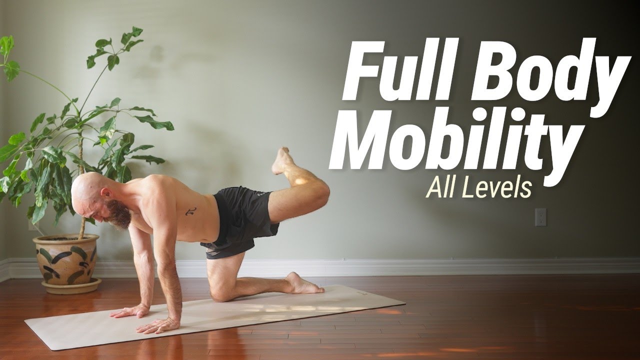 20 Minute Full Body Mobility Workout | All Levels | No Talking, No Repeats