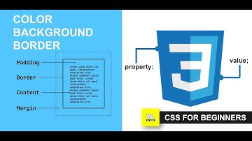 CSS Tutorial for beginners | Color Background Border
