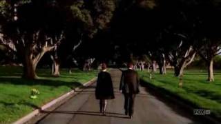 XviD asd.00.avi