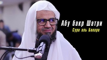 Абу бакр аш-Шатри сура 2 аль-Бакара (таравих) | Abu bakr al Shatri surah -al baqara taraweeh