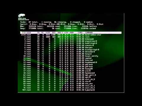 Using top in Linux