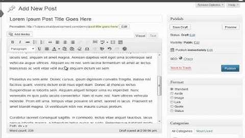 How to add and edit a post in wordpress cms