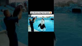Guy throws dog into tank with Orca 😡☹️
