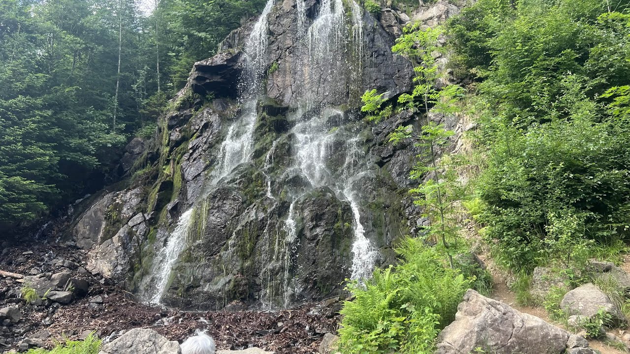 ПРИРОДА В ГОРАХ HARZ 🌳 КУРОРТ В НИЖНЕЙ САКСОНИИ 