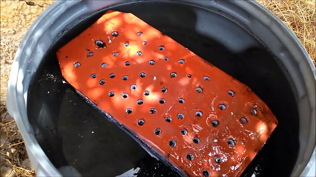 ποτιστρα μελισσων καθαρισμος νερου