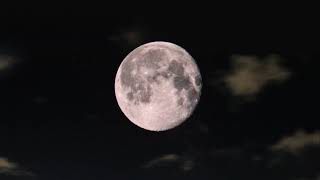 Relaxing Sufi Music /Musique Soufi relaxante screenshot 3