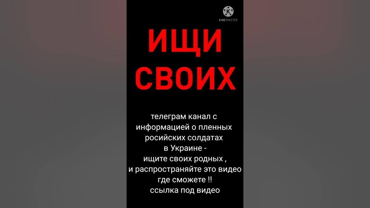 ИЩИ СВОИХ: телеграм канал с фото и информацией о российских пленных ...