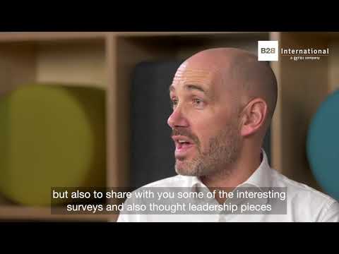 b2b professional insights