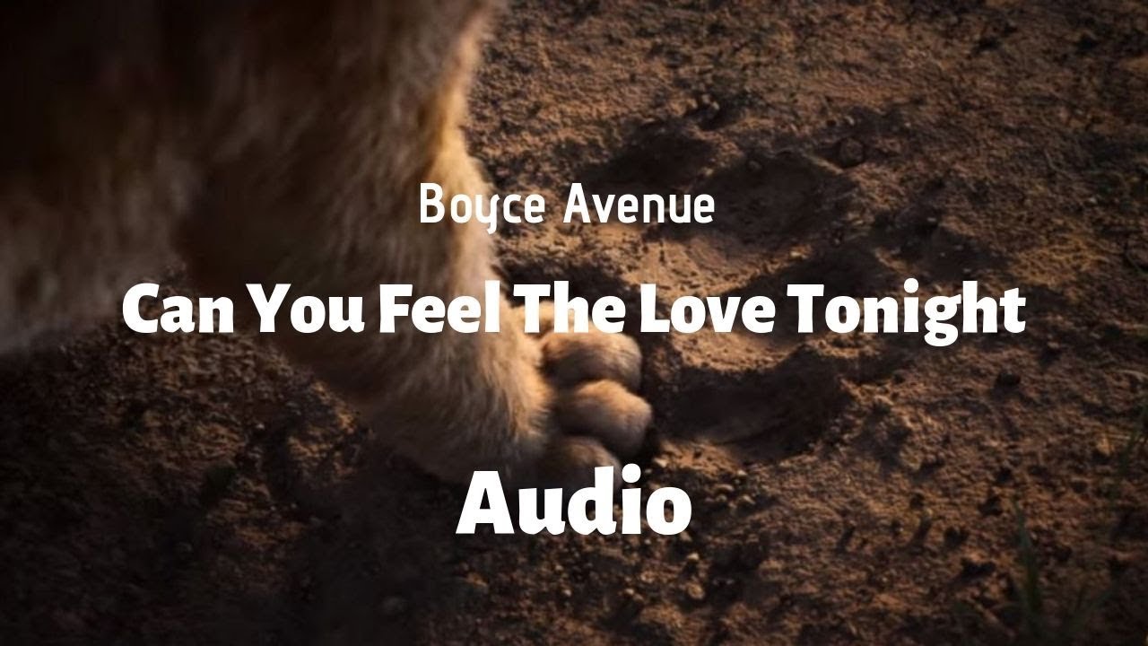 Can You Feel The Love Tonight Boyce Avenue AUDIO YouTube