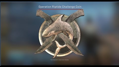 Opening One CS:GO Case Everyday Until I