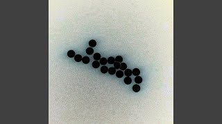 Perc Life!