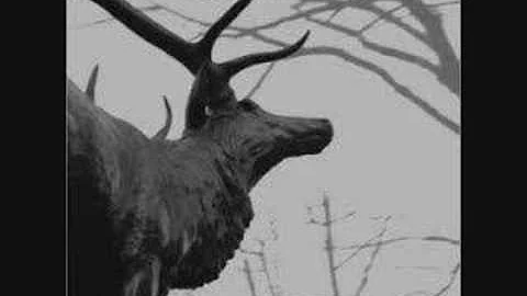 Agalloch - The Lodge