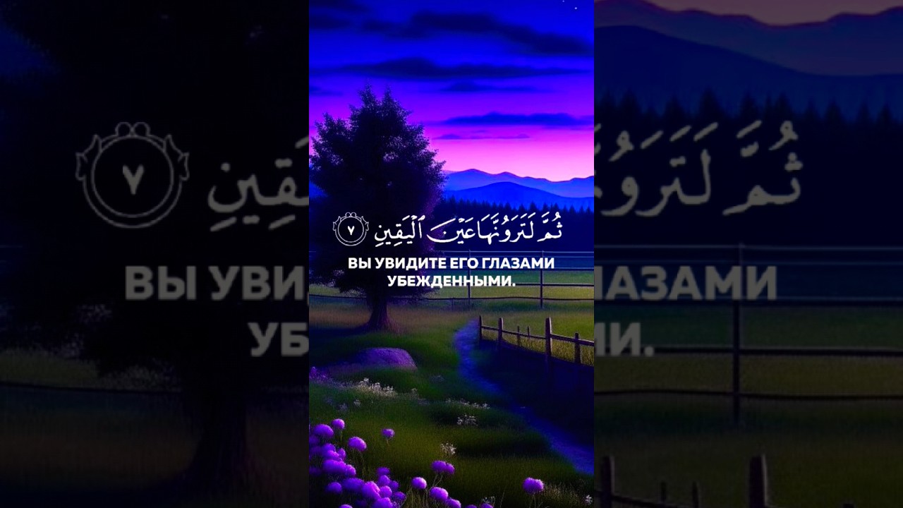 Сура:  Такасур «страсть к приумножению» аяты: 1-8 #allahﷻ #quran #reading #islam #сура