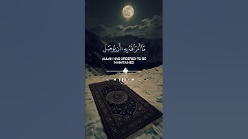 تلاوة خاشعة من القرآن الكريم بصوت القارئ عبدالرحمن مسعد | تلاوة قصيرة