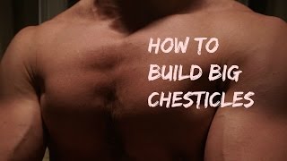 HOW TO BUILD BIG CHESTICLES