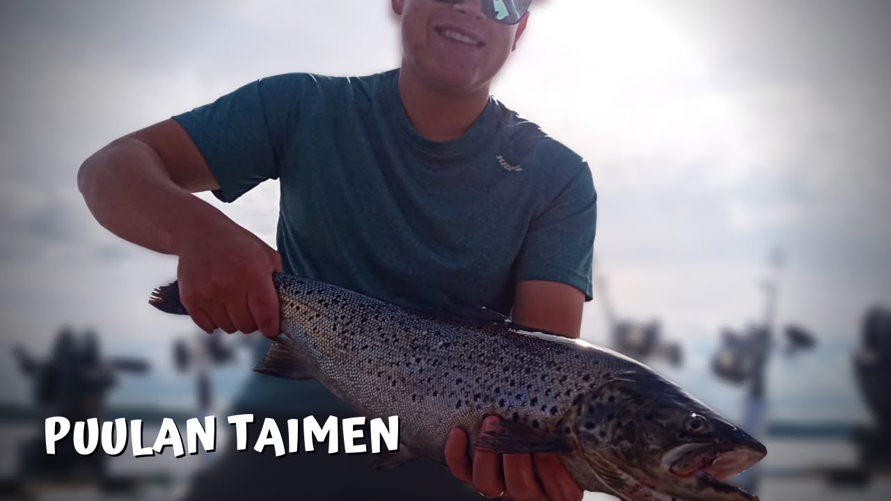 PUULA | KOMEA TAIMEN | LOHEN VETOUISTELUA 5