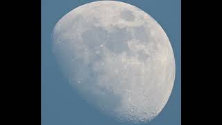 Johnny Was Dead, But He Wasnt. That Still Body Back In The Hospital Wasnt Johnny