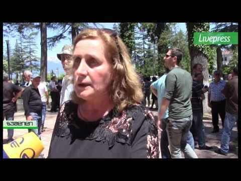 აქცია წალენჯიხაში