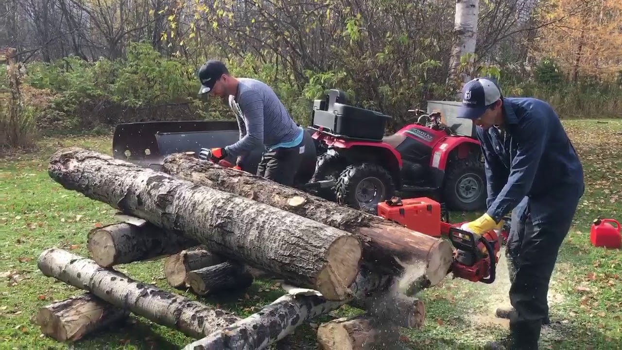 Chainsaw Echo cs590 vs Husqvarna 550xp YouTube
