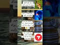 هذا الفستان الذي حير العلماء العالم بان كل واحد يراه لون مختلف