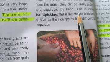 science  |class 6|unit 3.Matter Around us| HAND PICKING|MAGNETIC SEPARATION.