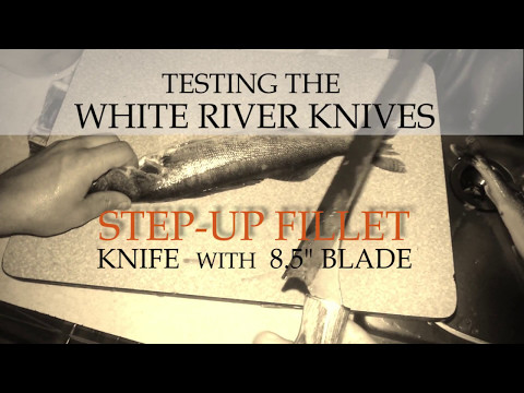 Step Up Fillet Knife Testing White River Knives - Fishing Knife