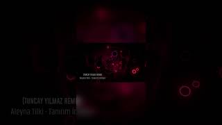 Aleyna Tilki - Tanırım İntiharı (Tuncay Yılmaz Remix) (Turkish Melodic Techno)