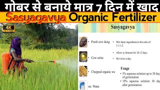 Sasyagavya ﻿Vedic Organic Fertilizer in 4K | गोबर से बनाये 7 दिन में खाद Zero खर्च में organicfarm