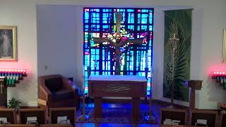 Daily Mass July 11, 2026