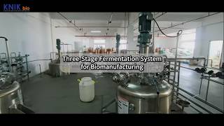 Three-Stage Fermentation System for Biomanufacturing #fermentation #fermenter