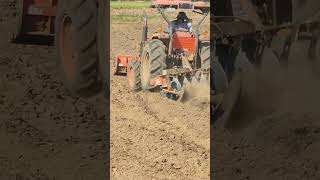 ตัดสินใจหยอดข้าวโพดต่อ รู้ว่าหน้านี้เสี่ยงขาดทุน แต่ต้องลอง