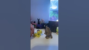 Idek #lps #lpscollector #littlestpetshop #lpsasthetic