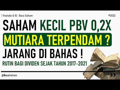 Saham Kecil PBV 0.2X ! Mutiara Terpendam ? Sangat Jarang Dibahas! Rutin Bagi Dividen!