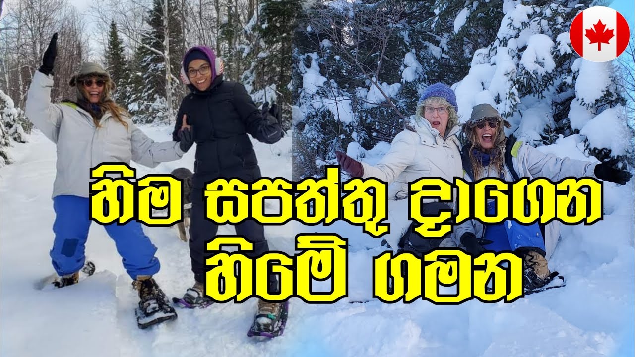 ජිවිතේ පළවෙනි වතාවට හිම සපත්තු දාගෙන හිමේ ඇවිද්දා |Snowshoeing In Canada|සිංහල Canada Sinhala Vlogs