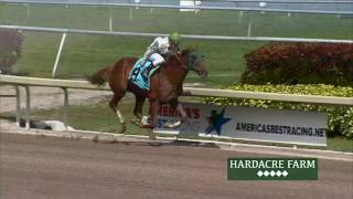 Gulfstream Park Replay Show | June 3, 2016