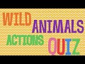 Wild Animals Actions Quiz